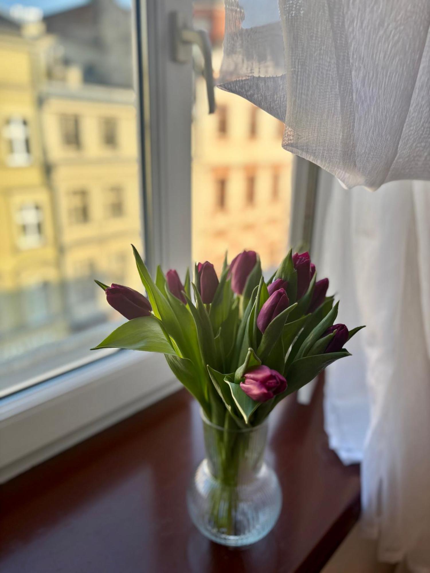 Vintage Senacka 9/7 Apartment Kraków Eksteriør billede